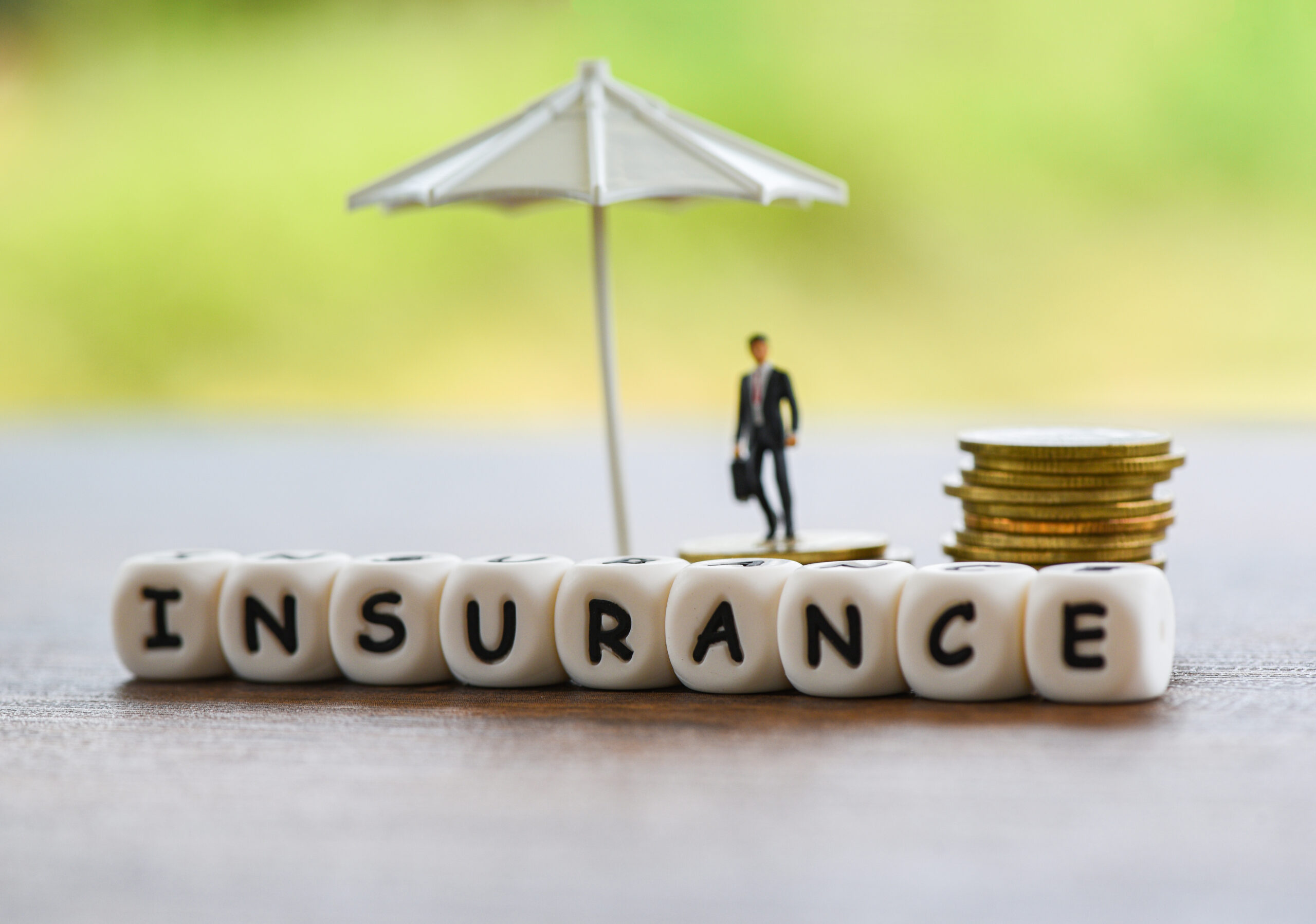 Pengaturan Asuransi Kredit Bisnis Indonesia
